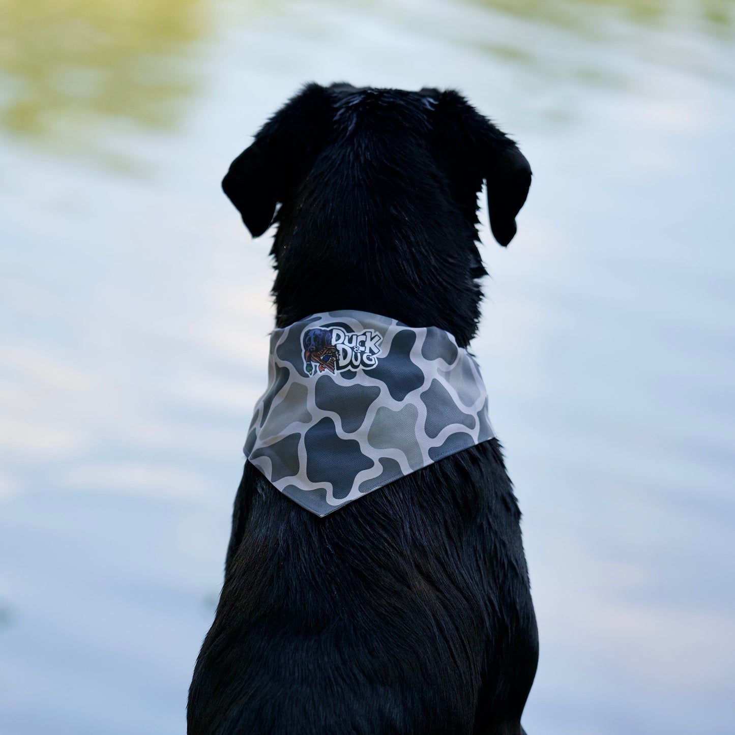 Bandana Dog Collars