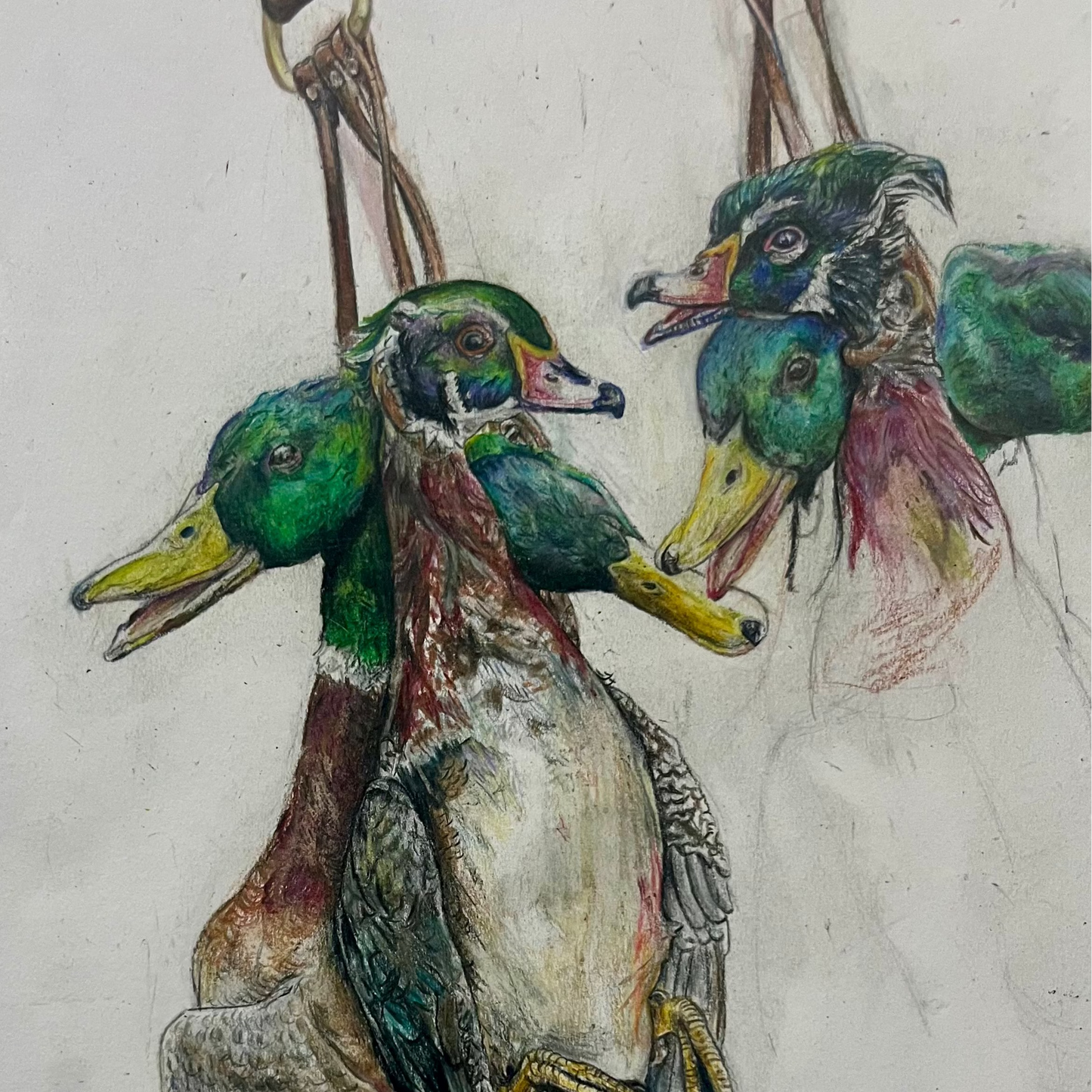 Mallards & Woodies Poster