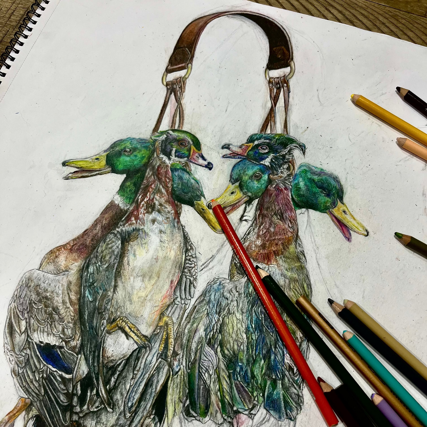 Mallards & Woodies Poster