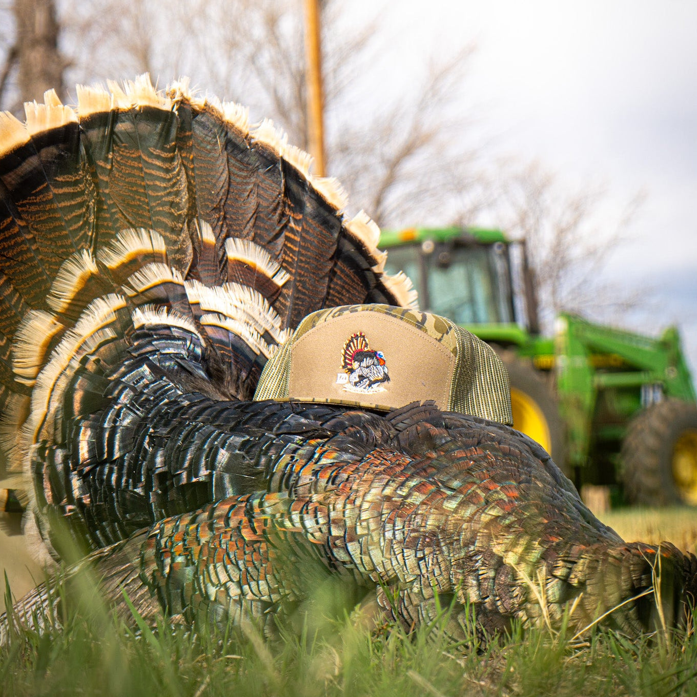 SA7AGE Turkey Hats